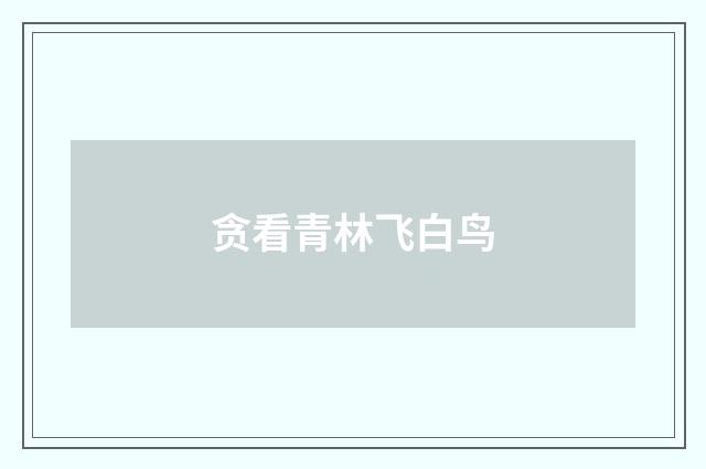 贪看青林飞白鸟