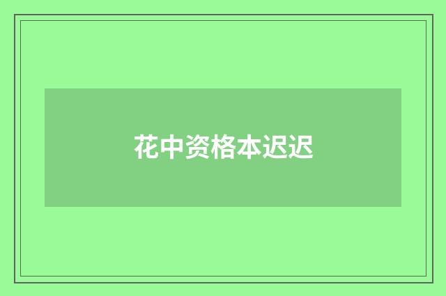 花中资格本迟迟