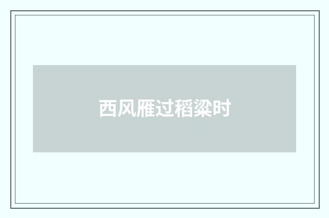 西风雁过稻粱时