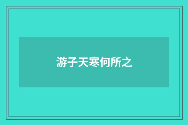 游子天寒何所之