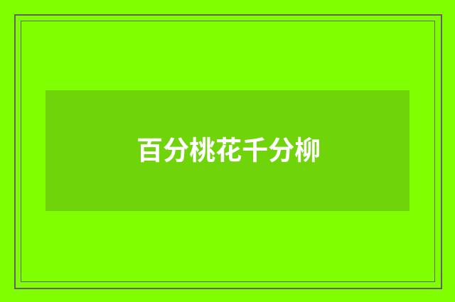 百分桃花千分柳