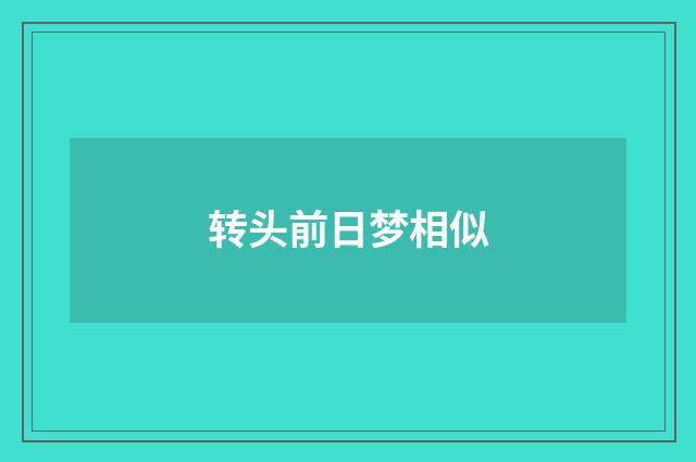转头前日梦相似