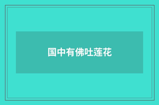 国中有佛吐莲花