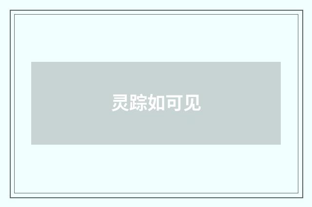 灵踪如可见