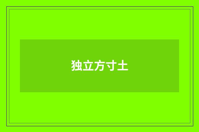 独立方寸土