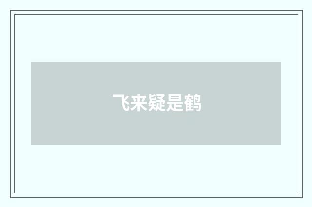 飞来疑是鹤
