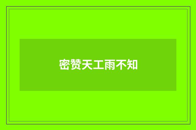 密赞天工雨不知
