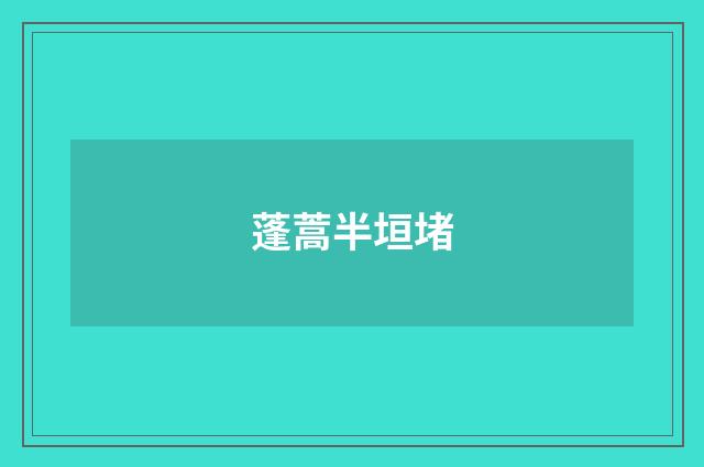 蓬蒿半垣堵