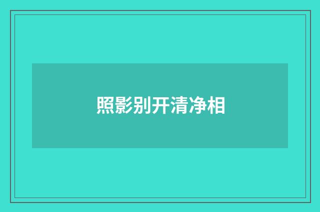 照影别开清净相