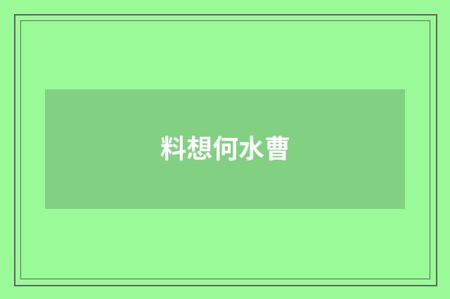 料想何水曹