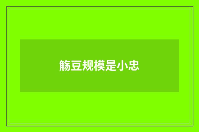 觞豆规模是小忠
