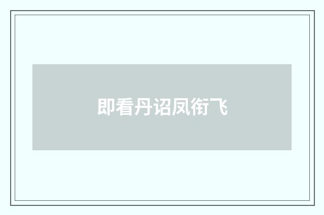 即看丹诏凤衔飞