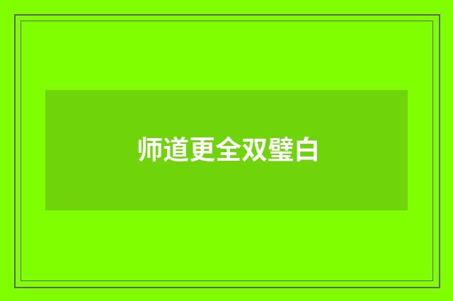 师道更全双璧白
