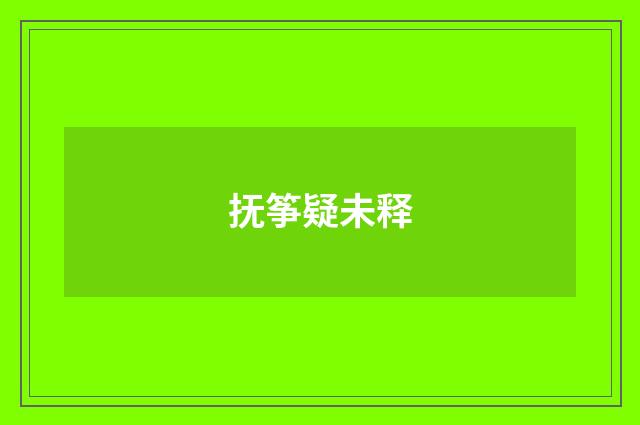 抚筝疑未释