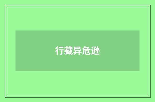 行藏异危逊