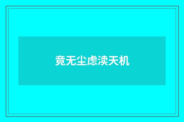 竟无尘虑渎天机