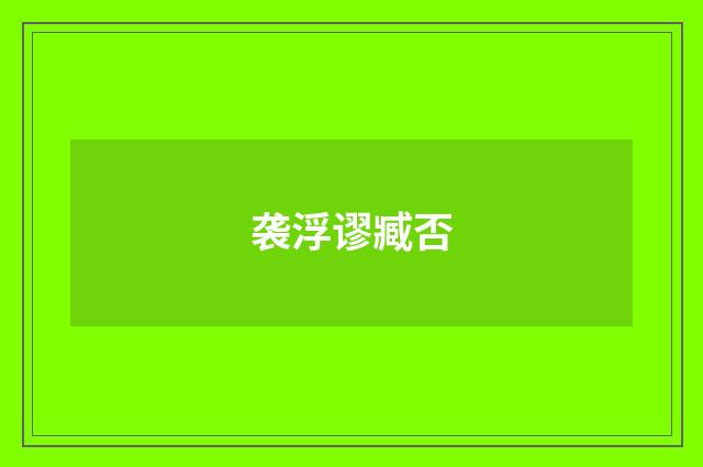 袭浮谬臧否