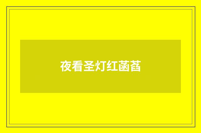 夜看圣灯红菡萏