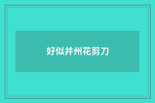 好似并州花剪刀