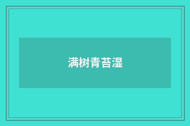 满树青苔湿