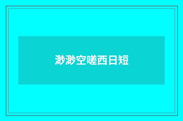 渺渺空嗟西日短