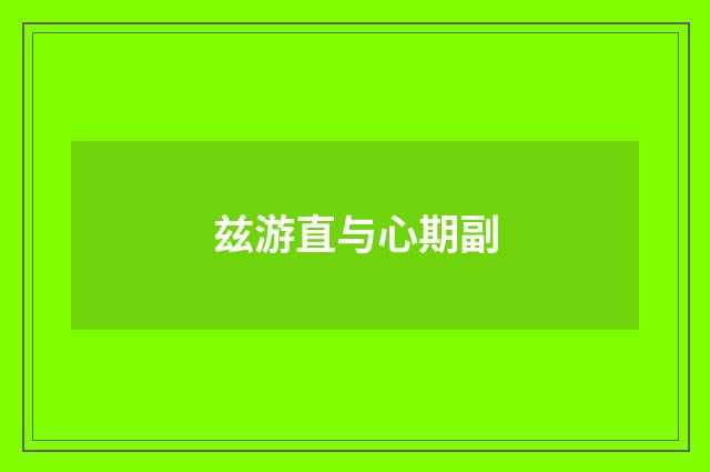 兹游直与心期副