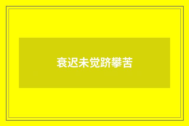 衰迟未觉跻攀苦