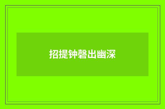 招提钟磬出幽深