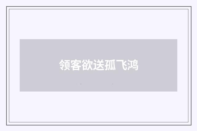 领客欲送孤飞鸿