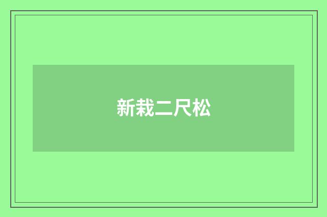 新栽二尺松