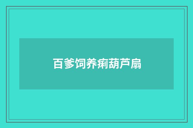 百爹饲养痢葫芦扇