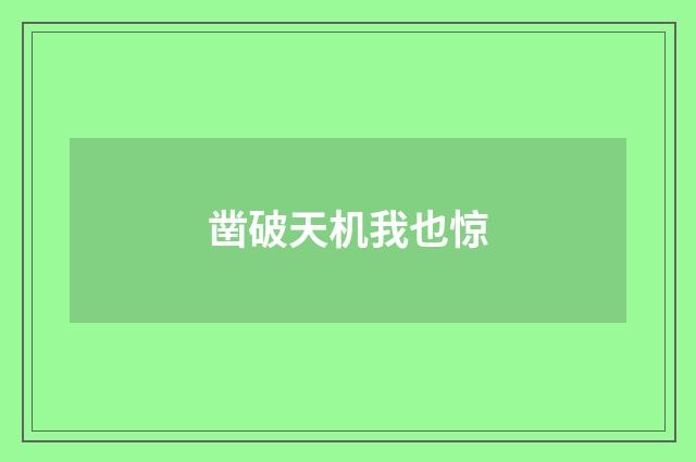 凿破天机我也惊