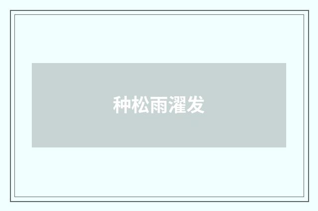 种松雨濯发