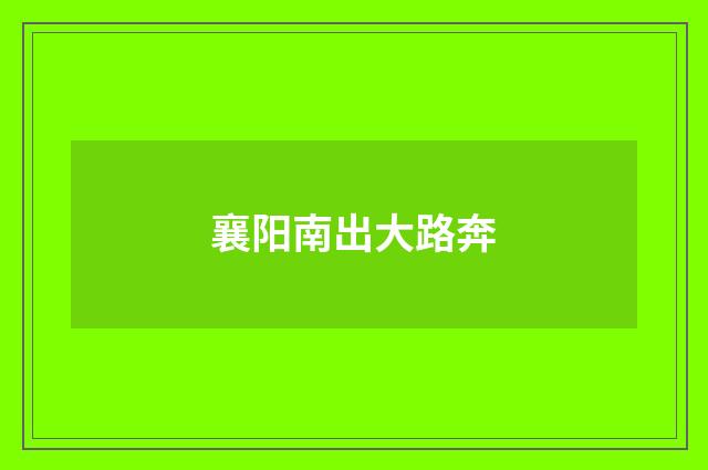 襄阳南出大路奔