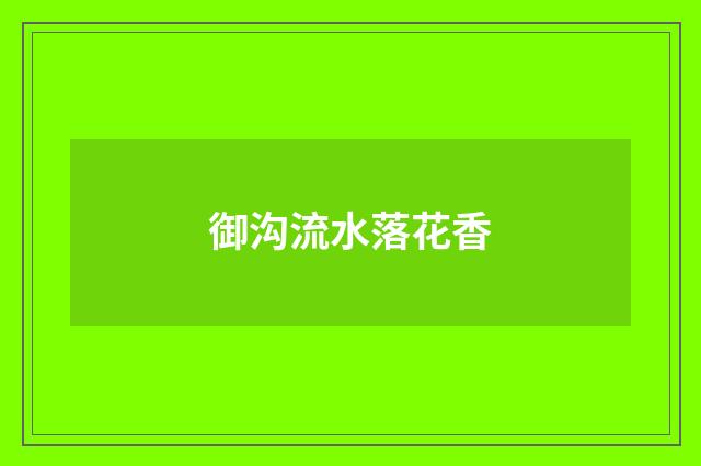 御沟流水落花香