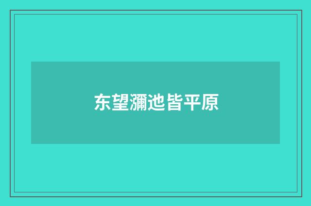 东望瀰迆皆平原