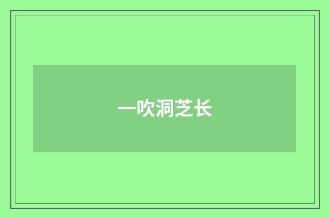 一吹洞芝长