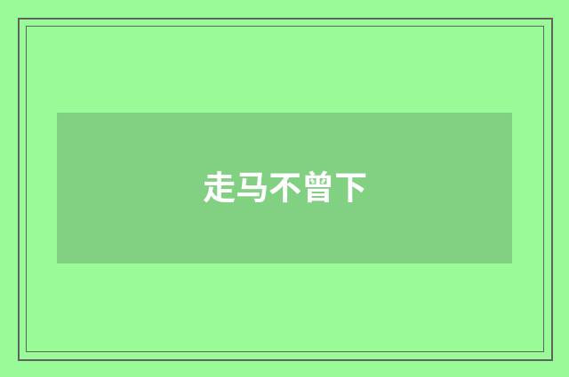 走马不曾下