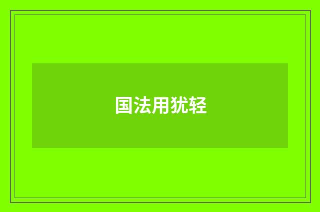 国法用犹轻
