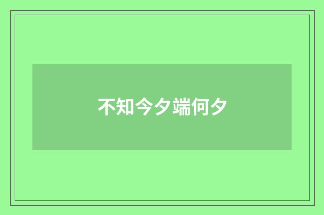 不知今夕端何夕