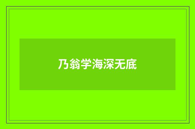 乃翁学海深无底