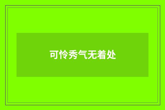 可怜秀气无着处