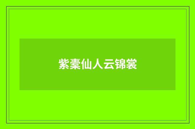 紫橐仙人云锦裳