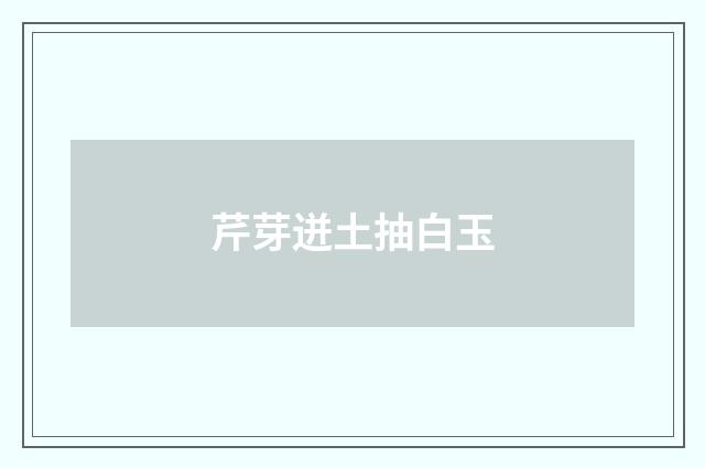 芹芽迸土抽白玉