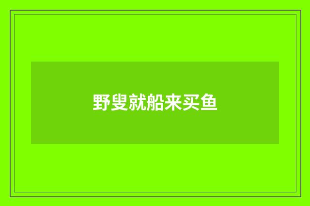 野叟就船来买鱼