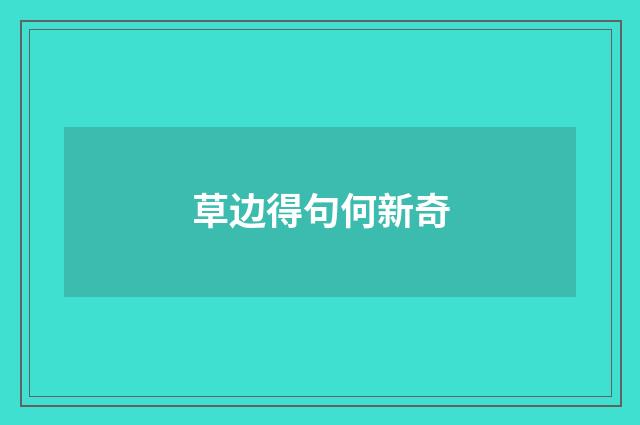 草边得句何新奇