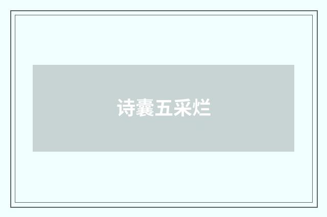 诗囊五采烂