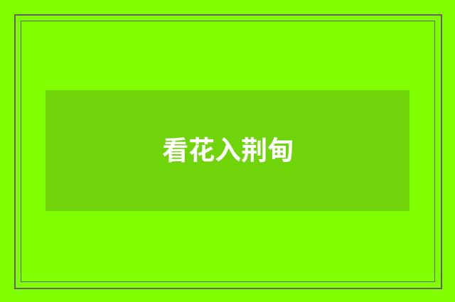 看花入荆甸