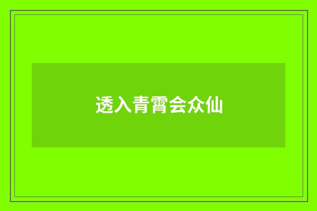 透入青霄会众仙