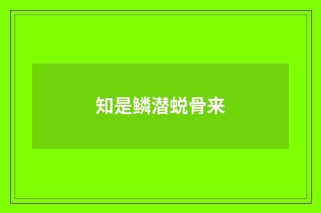 知是鳞潜蜕骨来